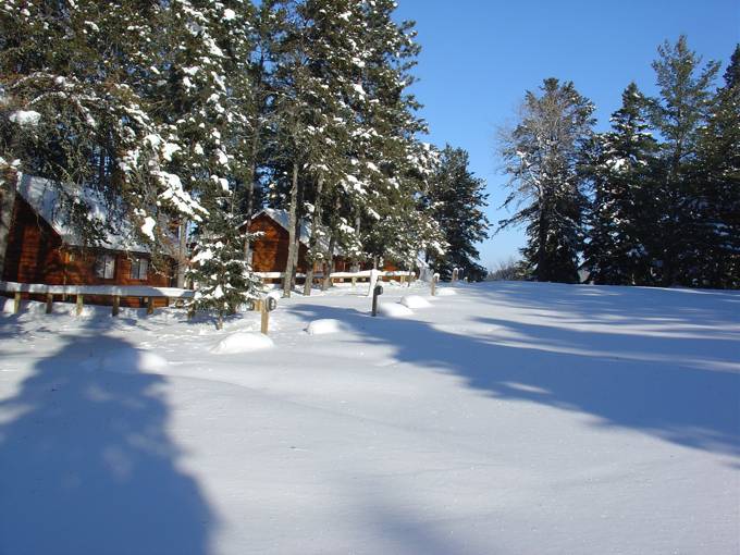Quiet and cold at the cottages!